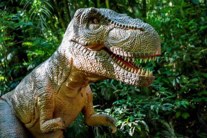 Brasil Ter O Maior Parque De Dinossauros Do Mundo