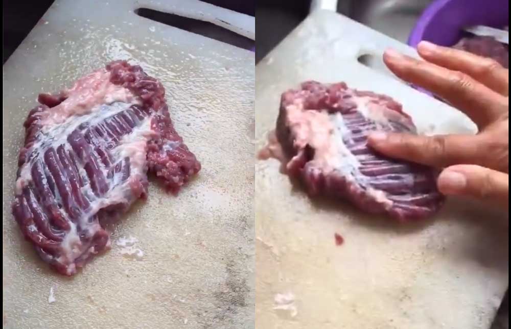 Peça de carne crua 'ainda viva' faz sucesso na web. Foto: Twitter