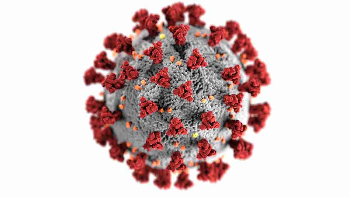 Rio de Janeiro confirma variante Alpha do novo coronavírus no estado