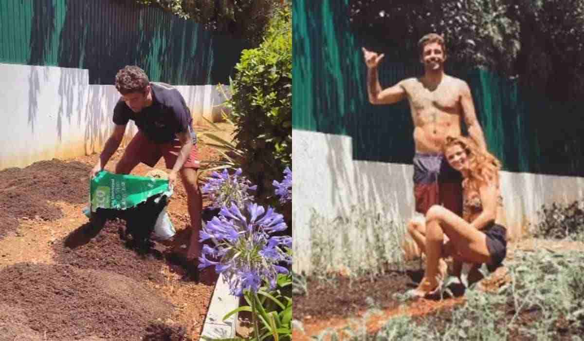 Pedro Scooby e Cintia Dicker exibem plantação em casa: 'nossa hortinha' (Foto: Reprodução/Instagram)