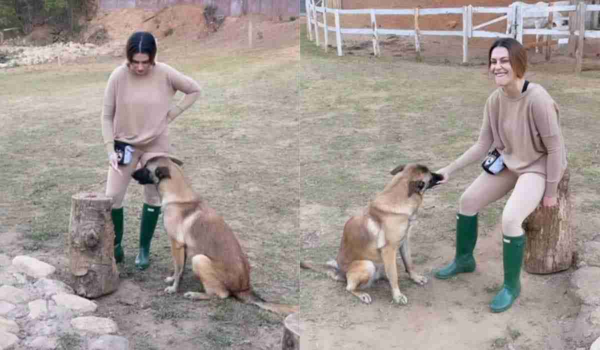 Cleo mostra adestramento de cachorro que adotou com o marido (Foto: Reprodução/Instagram)
