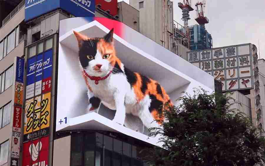 Propaganda com gato ultrarrealista em 3D viraliza na internet