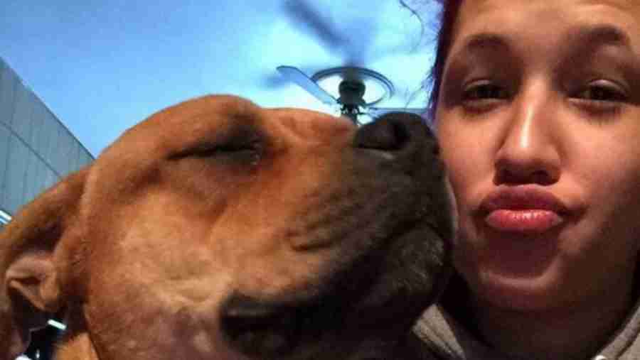 Mulher reencontra pela internet seu cachorro desaparecido em 2019