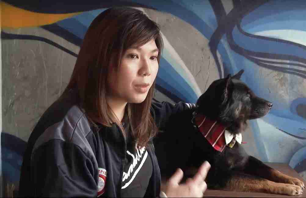 Videntes que ‘conversam’ com pets atraem clientes em Hong Kong