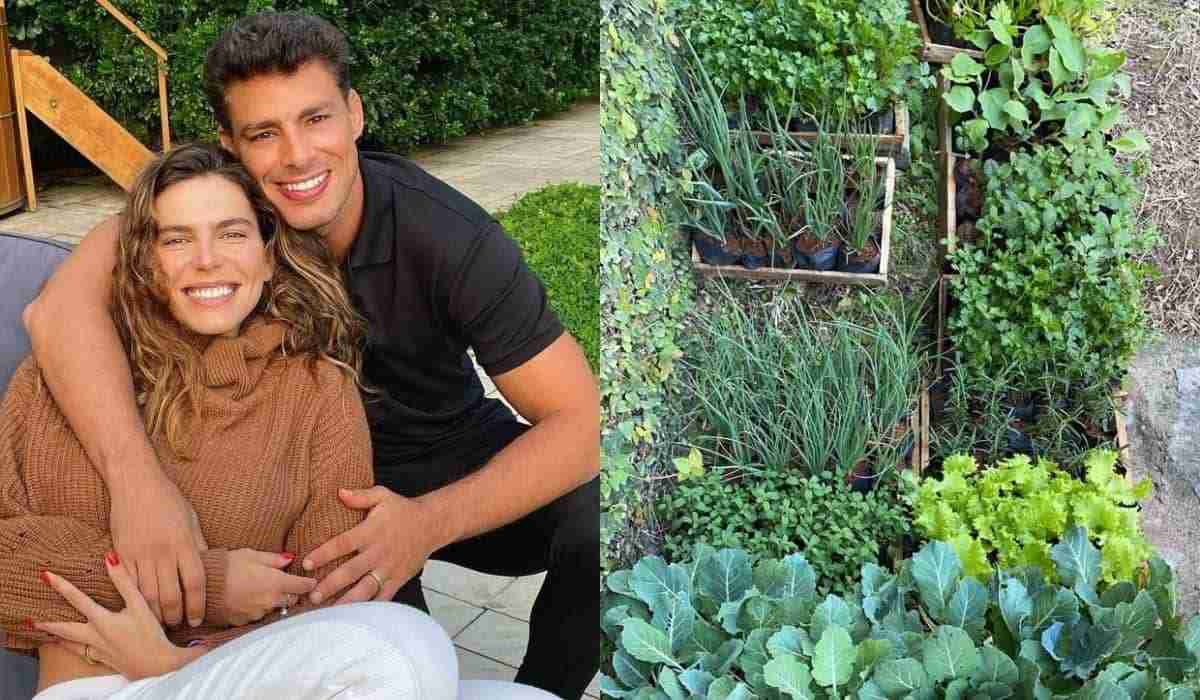 Cauã Reymond e Mariana Goldfarb exibem horta em casa: ‘bem legal’ (Foto: Reprodução/Instagram)