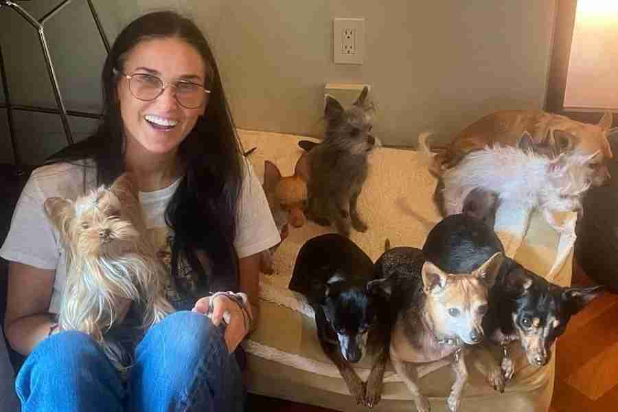 Demi Moore posta foto ao lado dos nove cães e encanta os fãs (Foto: Reprodução/Instagram)