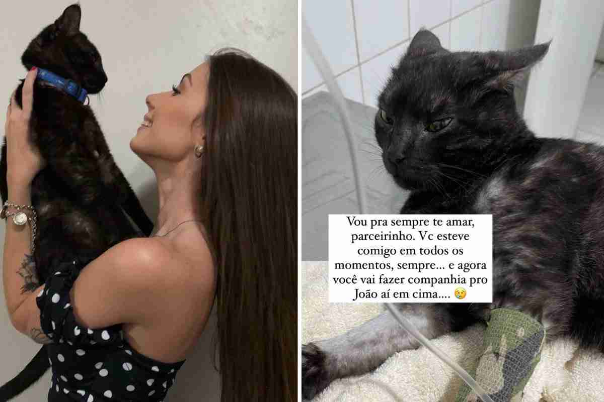 Maria Lina lamenta morte do gato de estimação: “Vai fazer companhia pro João aí em cima” (Foto: Reprodução/Instagram)