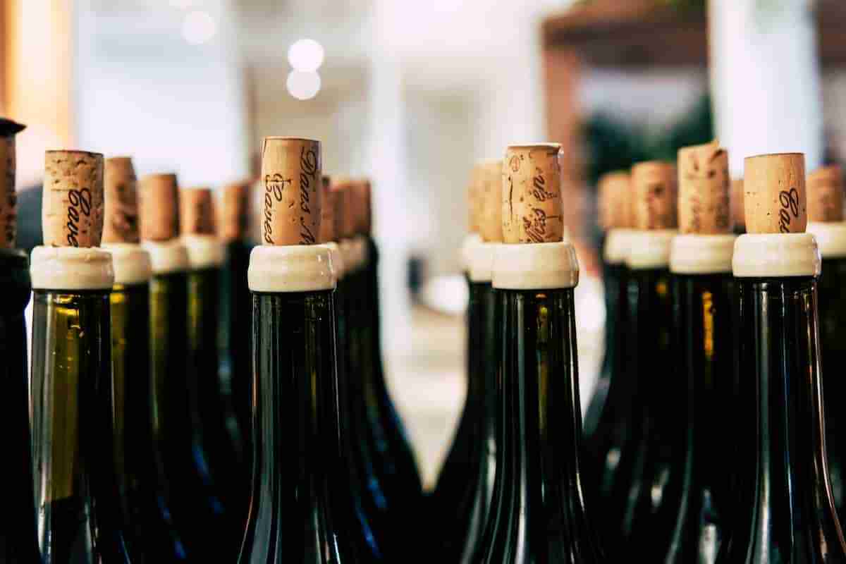 Aniversariantes centenários ganham 100 garrafas de vinho de presente na Suíça. Foto: Grape Things