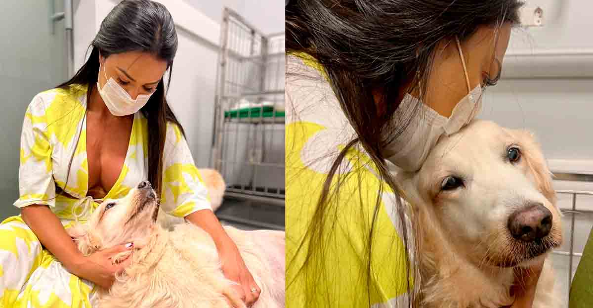 Gracyanne Barbosa lamenta morte de cachorrinha 'Bela'. Foto: Reprodução Instagram
