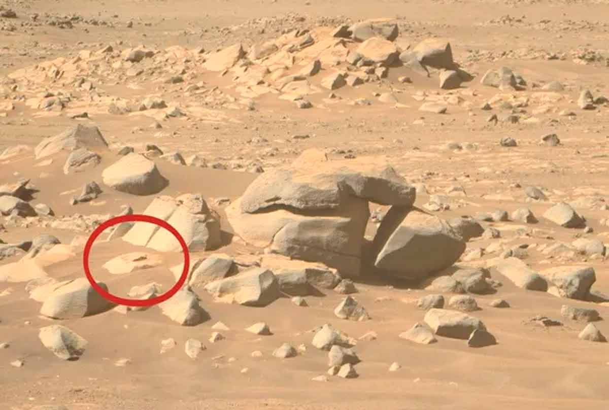 Por que as pessoas estão dizendo que esse pedaço de rocha é a prova de vida em Marte. Foto: Nasa