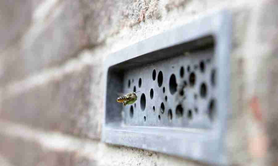 Tijolo é criado para abrigar abelhas solitárias. Fotos: Divulgação/ Green&Blue