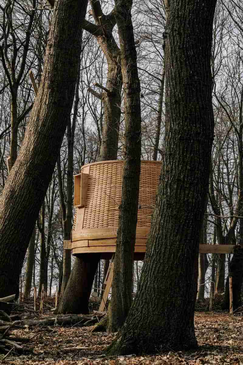 Conheça a casa na árvore Sylvascope que é feita com materiais da floresta que a cerca