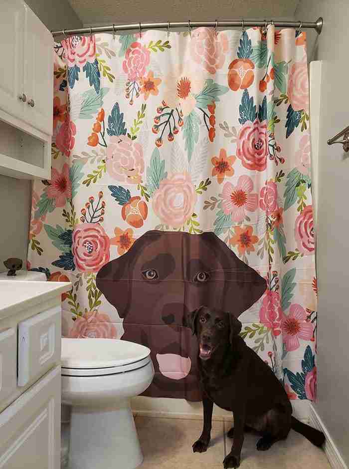 Fotos: 16 ideias criativas e divertidas para a decoração do banheiro