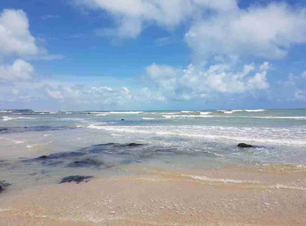 Baía dos Golfinhos, Rio Grande do Norte, está no ranking com as melhores praias do mundo para 2022. Fotos: Reprodução/ Tripadvisor