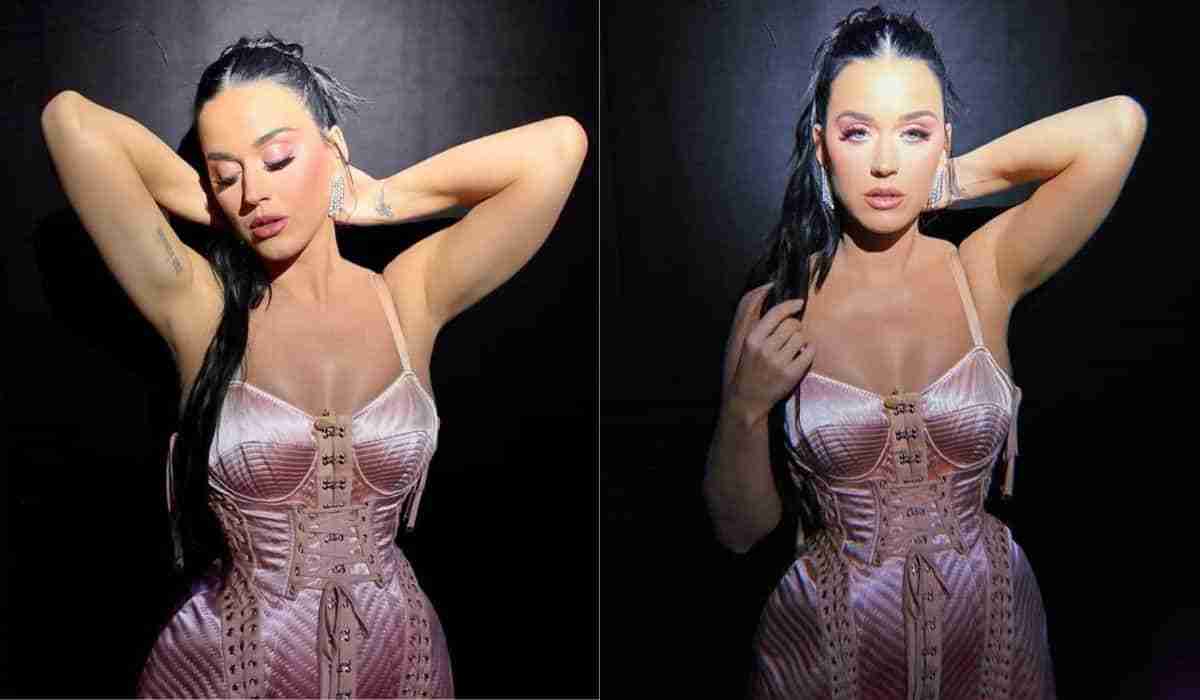 Katy Perry encantou a web ao posar com corset acetinado (Foto: Reprodução/Instagram)