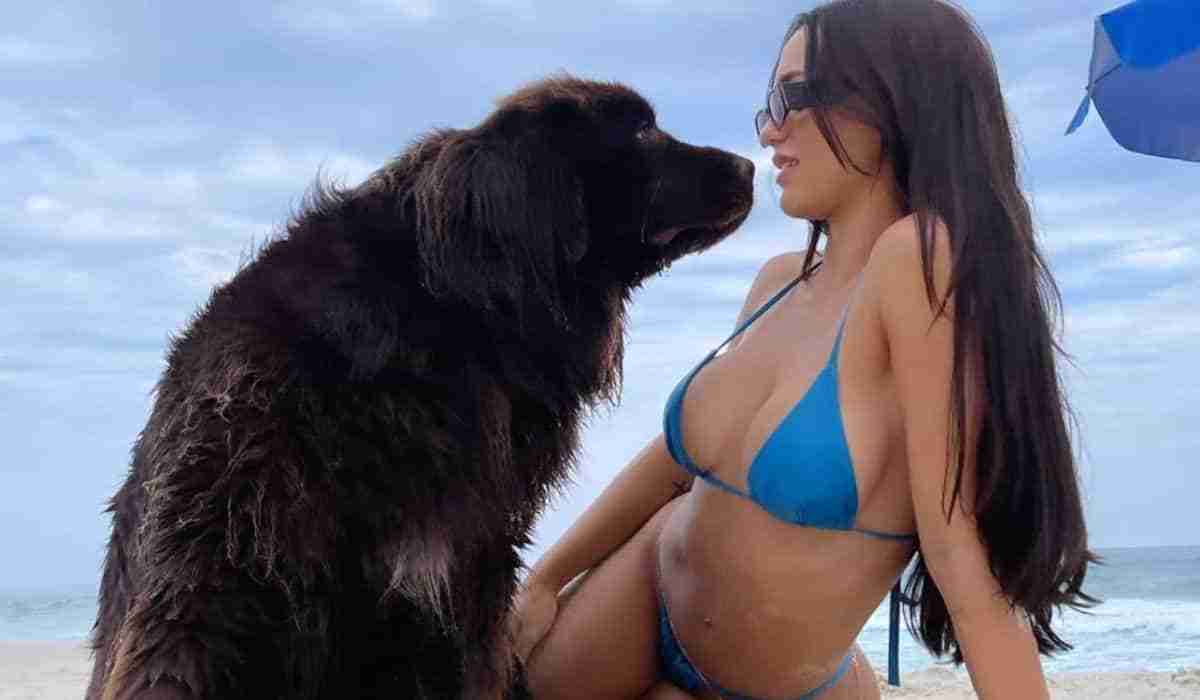 Rafa Kalimann leva sua cachorra na praia pela primeira vez: ‘ama água’ (Foto: Reprodução/Instagram)