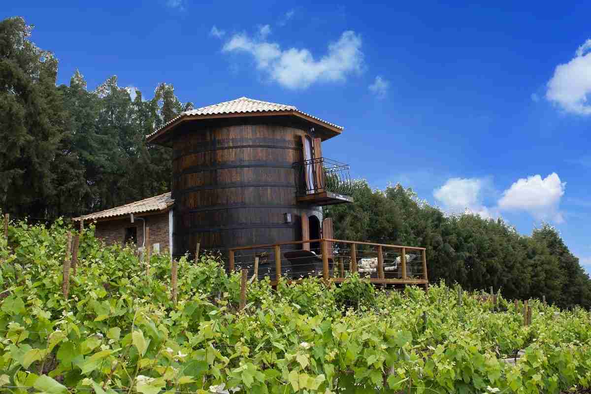 Hospedagem em barril de vinho, no interior de SP. Foto: Divulgação/ Quinta do Olivardo