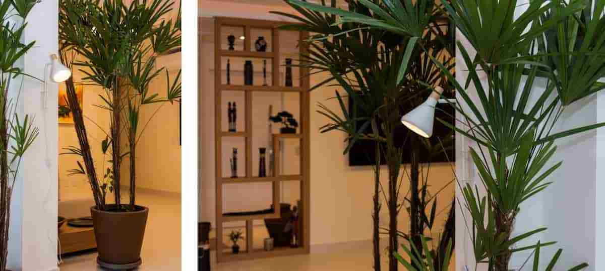 Arandela na sala de estar repleta de plantas | Projeto do arquiteto André Viana e fotos de Emerson Rodrigues