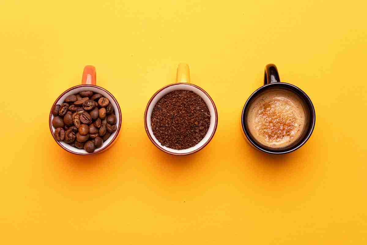 As categorias de grãos de café. Fotos: Pexels