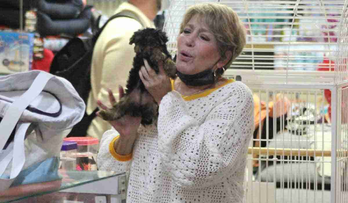 Susana Vieira se encanta com filhotes de cachorrinho no shopping (Foto: Rodrigo Adao/AgNews)