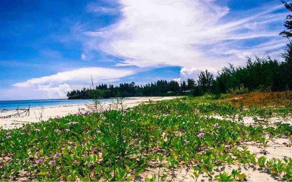 Praias paradisíacas pelo mundo. Ponta de Bornéu | Fotos: Reprodução/ HostelWorld