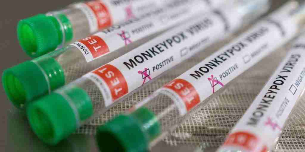 Varíola dos macacos vira emergência global; veja o que isso significa