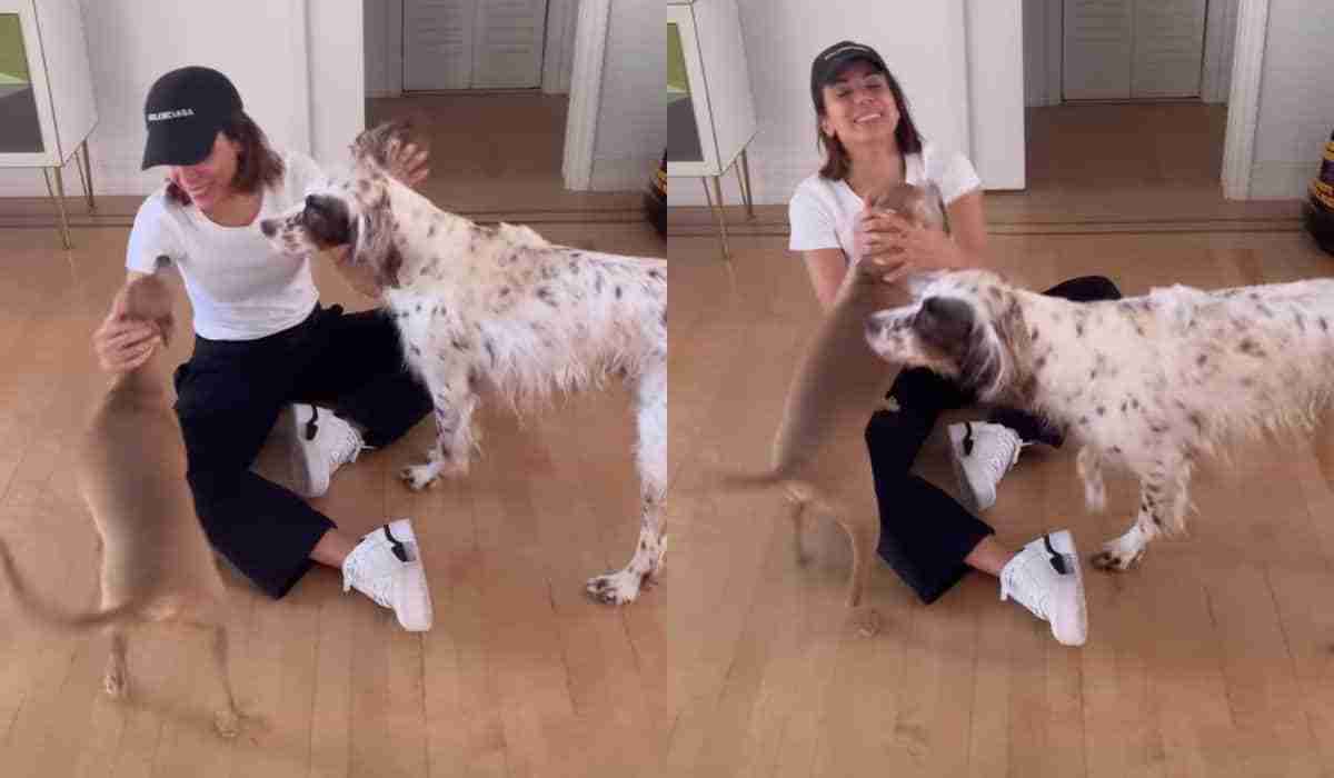 Anitta exibe encontro com seus cães: ‘morrendo de saudades’ (Foto: Reprodução/Instagram)