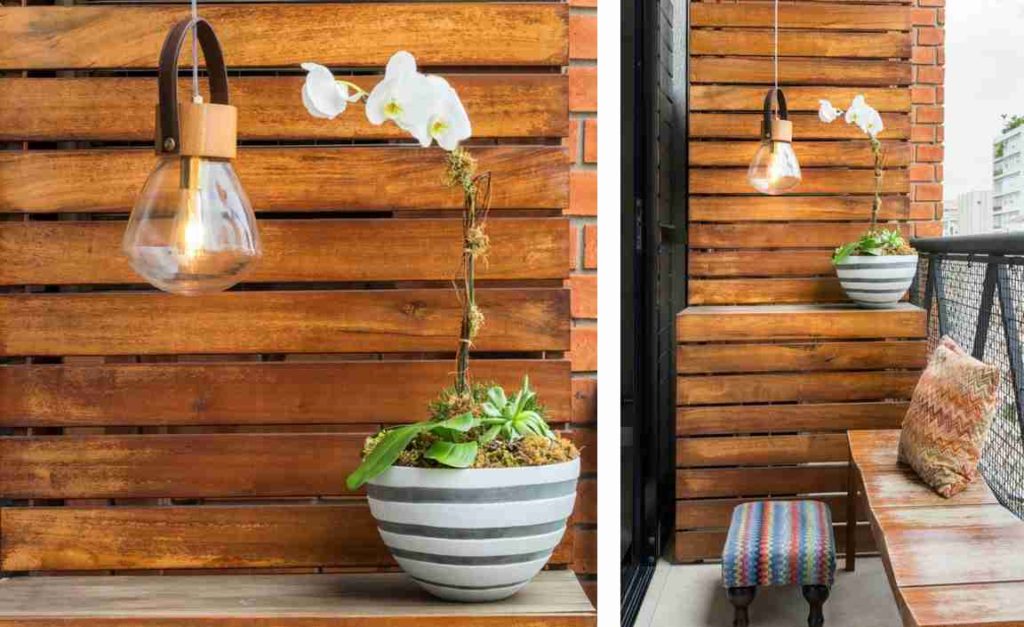 Descubra a melhor forma de iluminar cômodos com plantas e flores