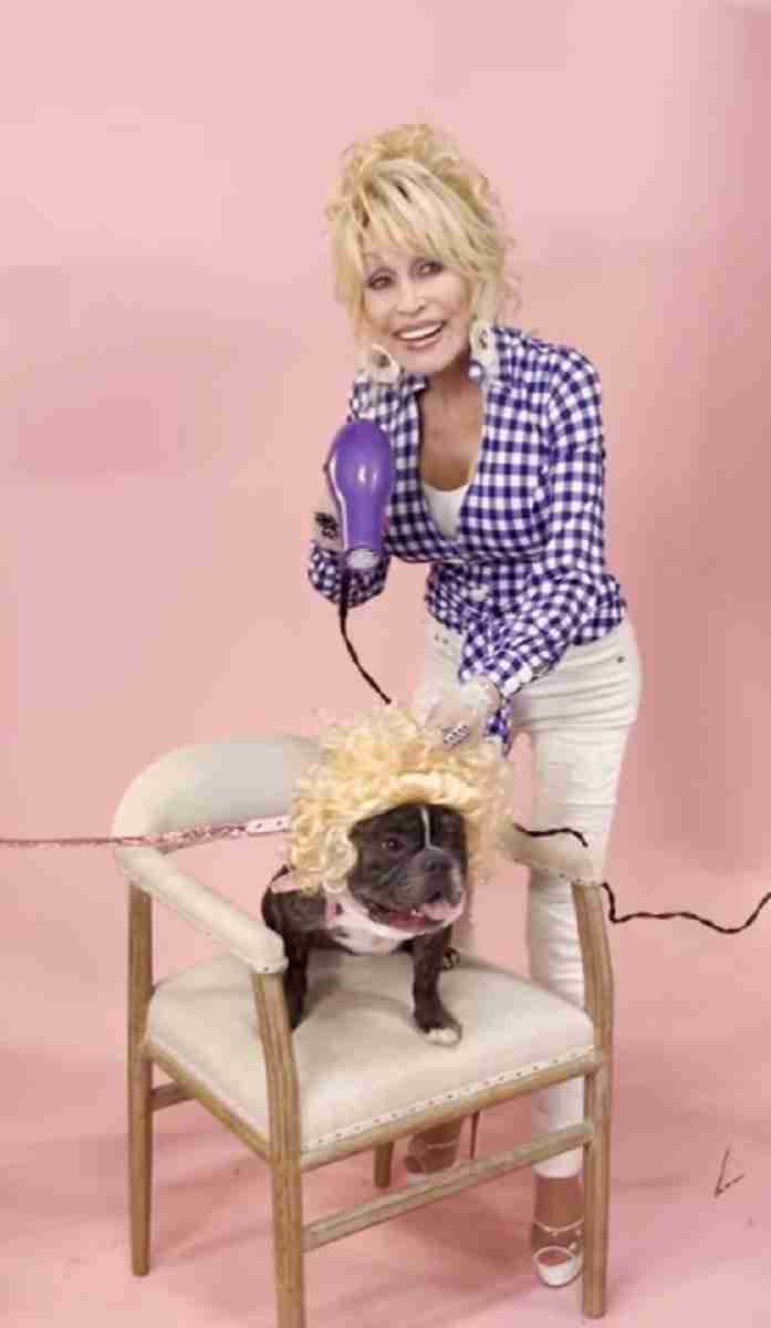 Dolly Parton lança roupas e brinquedos para cachorros: ‘Doggy Parton’