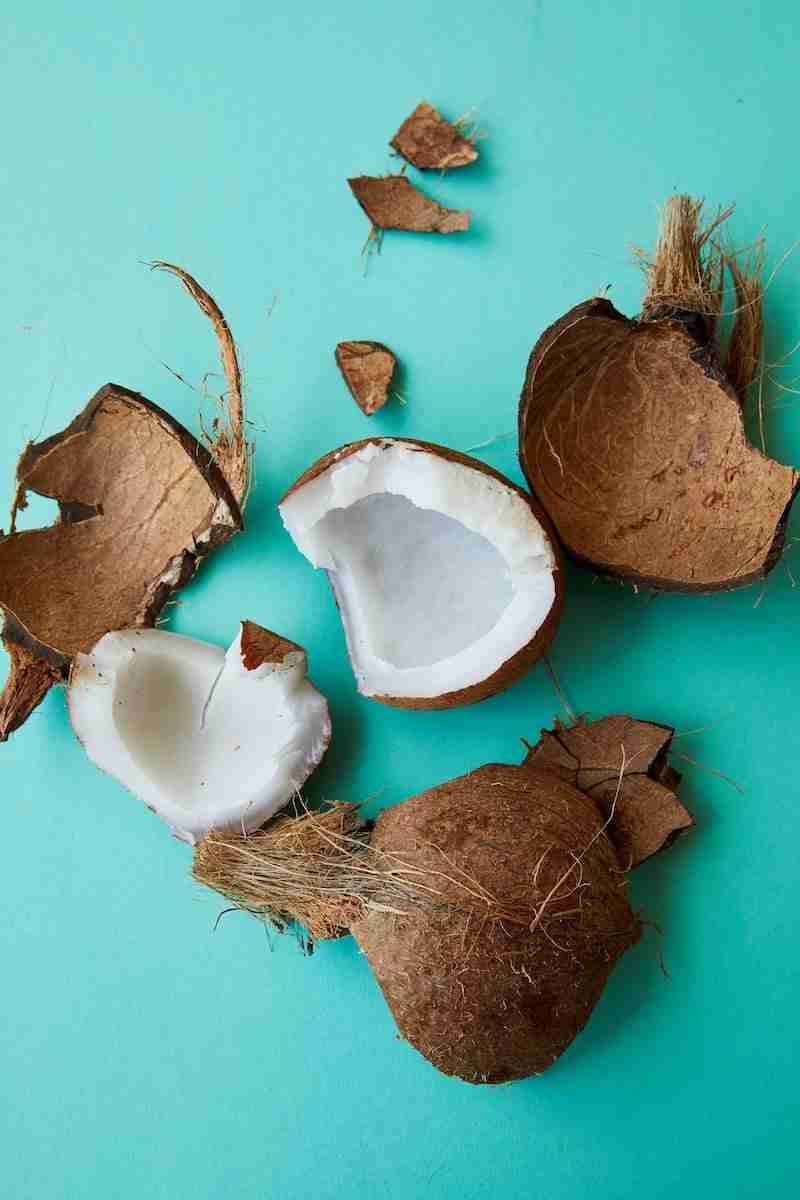 Aprenda a melhor maneira de abrir um coco maduro