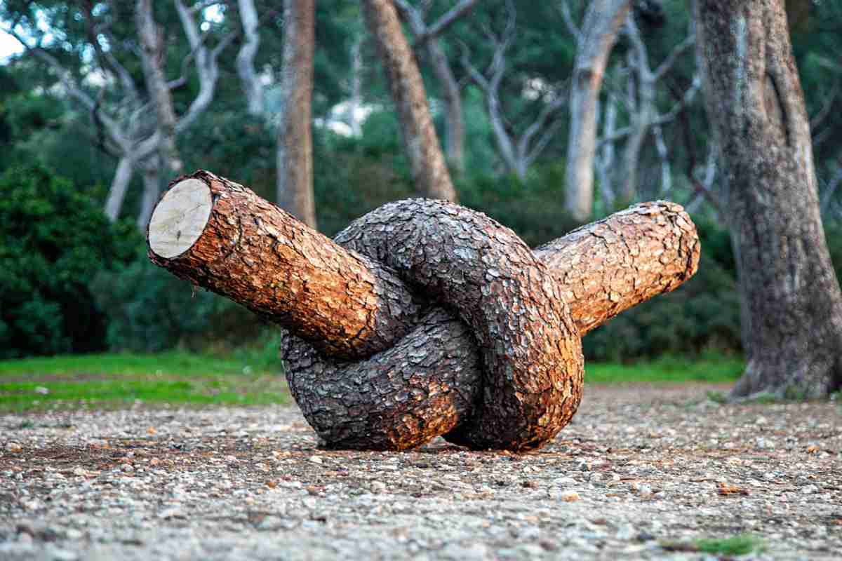 Troncos de árvore se contorcem nas esculturas do artista francês 'Monsieur Plant'
