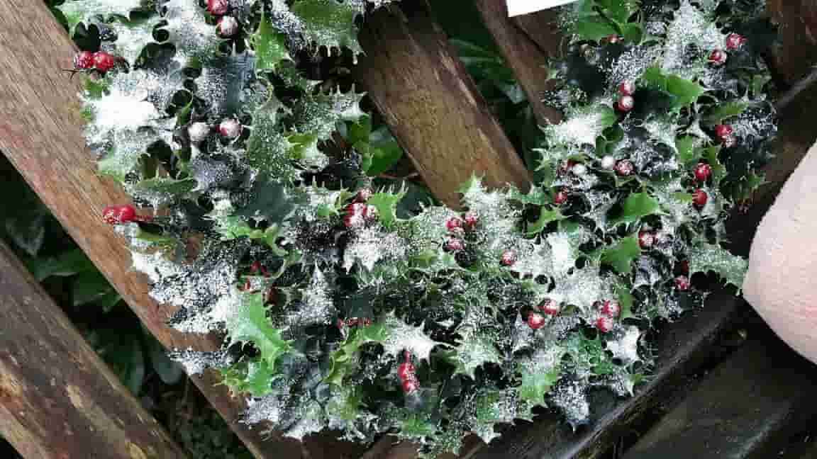 Decoração de Natal com plantas do seu jardim: faça você mesmo sem gastar nada!