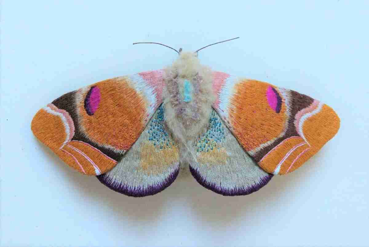 Com técnicas de bordado, artista cria borboletas e mariposas perfeitas