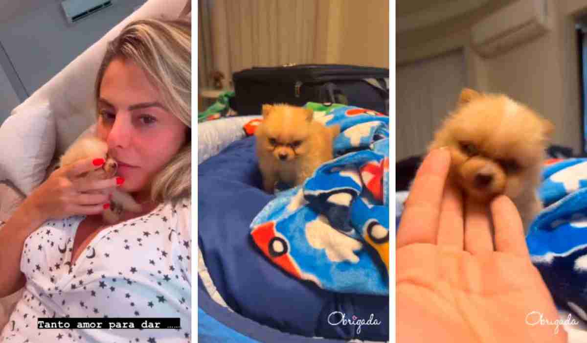 Poliana Rocha ganha novo cachorro de Leonardo após morte na família