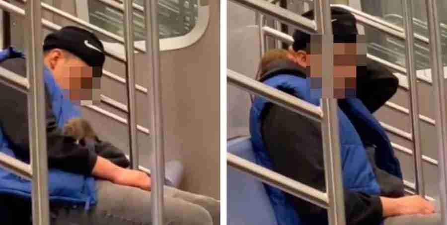 VÍDEO: Rato passeia em cima de passageiro adormecido no metrô