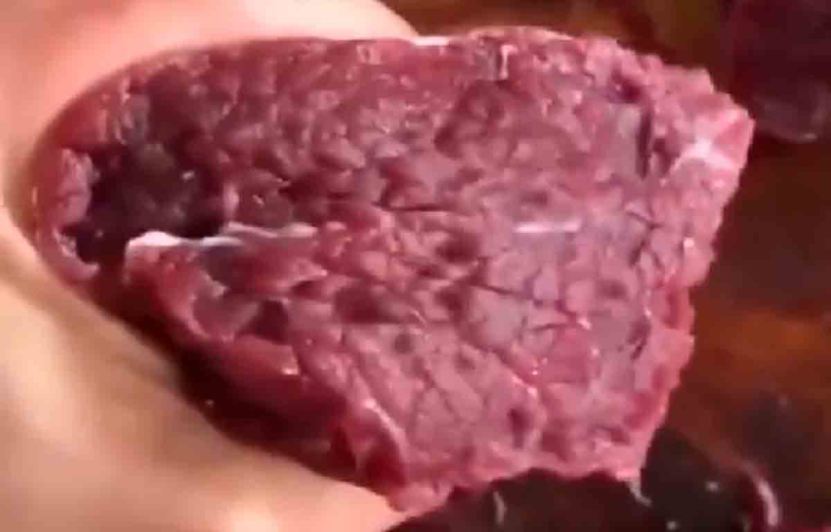 VÍDEO: Pedaço de carne crua convulsionando viraliza no Twitter, entenda o caso. Foto: Reprodução Twitter https://twitter.com/SteveStuWill/
