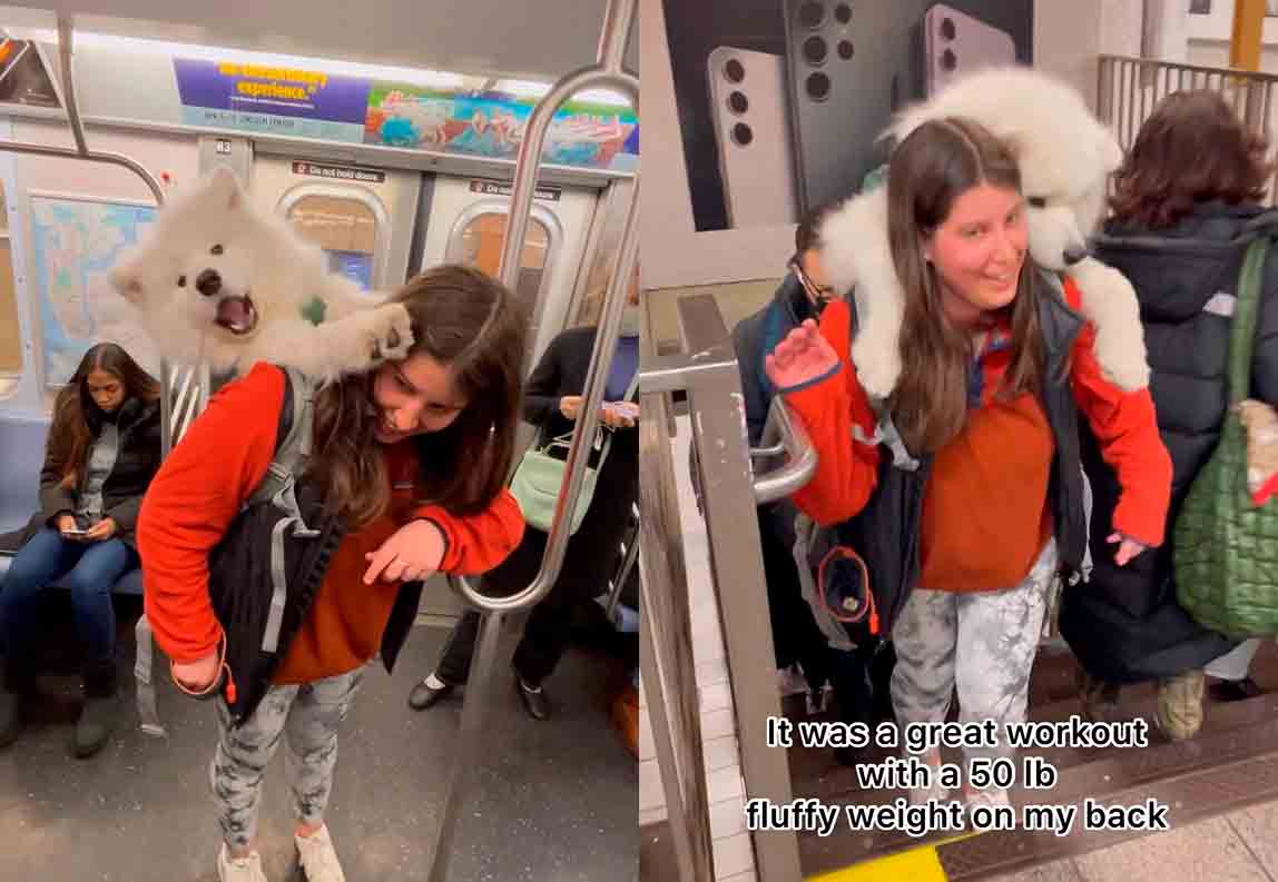 Mulher passeia pelo metrô de Nova York com seu cachorro grande na mochila e viraliza