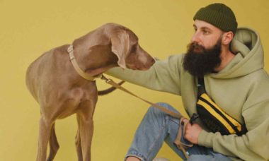 Men with beards carry more bacteria than dogs, study says