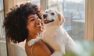 Attenzione! Il gel igienizzante sulle zampe può avvelenare il tuo cane. Foto: Pexels