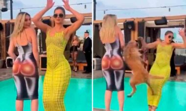 Video divertente: cane interrompe la festa delle donne che posano sexy a bordo piscina (Foto: Riproduzione/Twitter)
