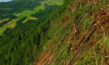 Vídeo: Ventos fortes arrancam árvores pela raiz em montanhas da Alemanha. Fotos e vídeos: reprodução Twitter @jan_beutel