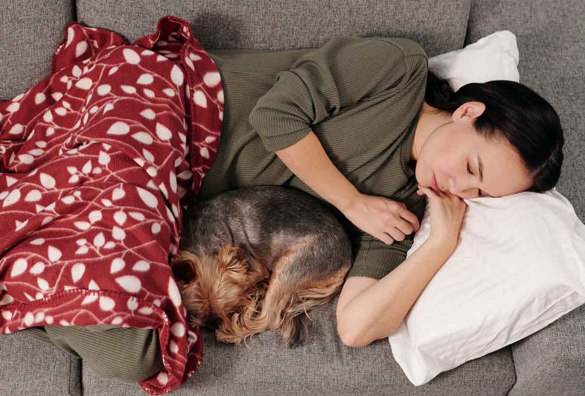 Le 10 migliori razze per chi ama dormire con i cani . Foto: pexels