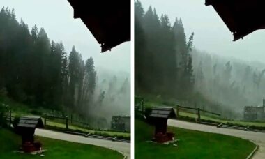 Un video impressionante mostra una foresta abbattuta da una tempesta in Italia. Foto: riproduzione Twitter @StormchaserNL