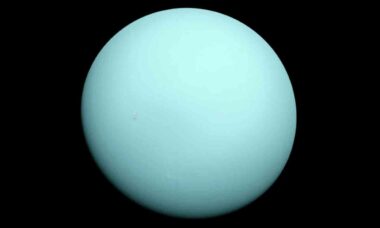 The possibility of finding life on one of Uranus' moons has just increased