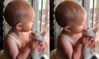 Nydelig video: Liten jente elsker å kysse katten sin, og rører ved hjertene på internett. Bilde: Høflighet av Instagram