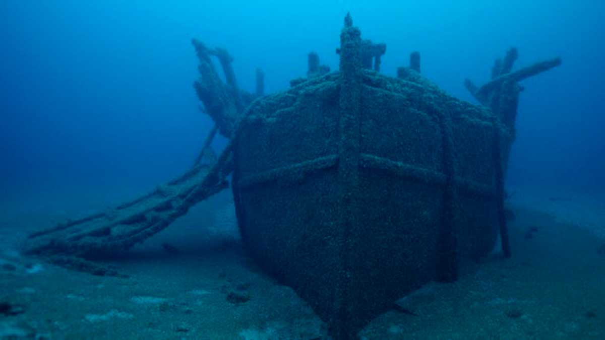 Video: Skib forsvundet i 1895 er nu fundet omgivet af fremmede arter. Billeder og video: Gengivelse fra Instagram @trebekinitiative 