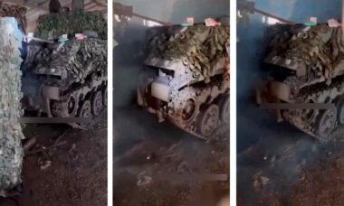 Vídeo chocante mostra centenas de ratos saindo de blindado russo. Foto e Vídeo: Reprodução Twitter @front_ukrainian