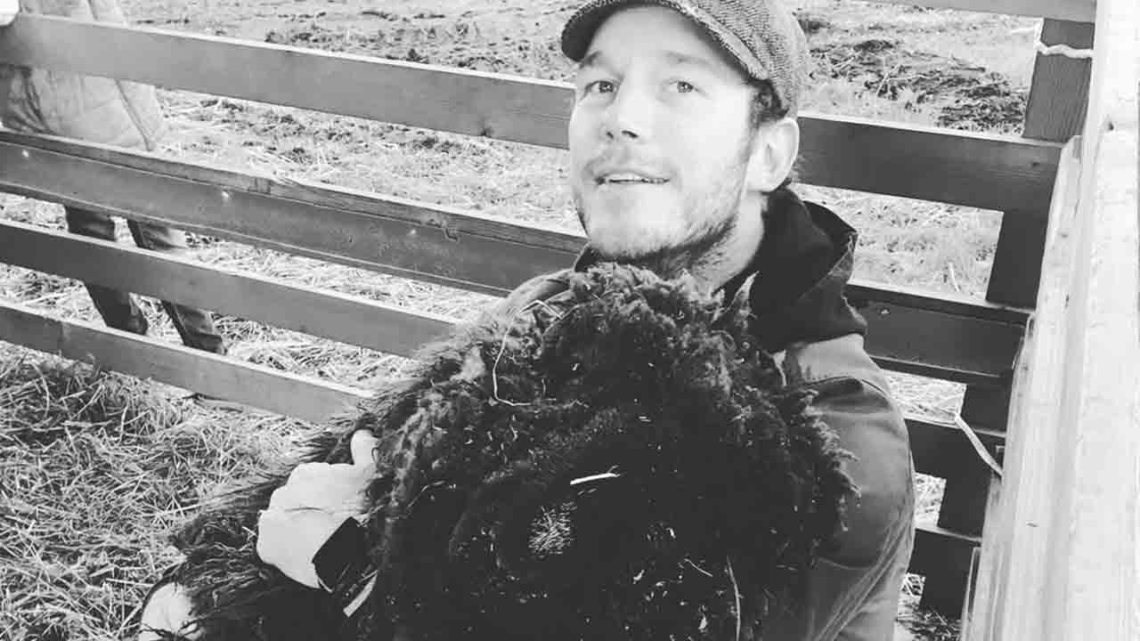 Chris Pratt. Photo: Instagram @prattprattpratt