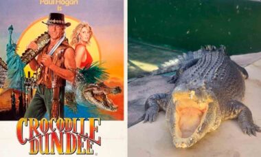 Astro de Crocodile Dundee, falece pacificamente aos 90 anos. Foto: Instagram @crocosauruscove