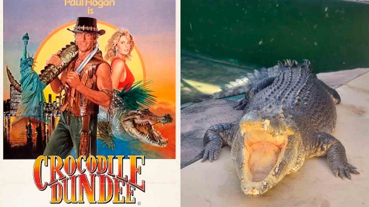 Star of Crocodile Dundee passes away peacefully at 90. Photo: Instagram @crocosauruscove